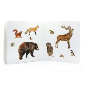 NWB - Animales del Bosque 2