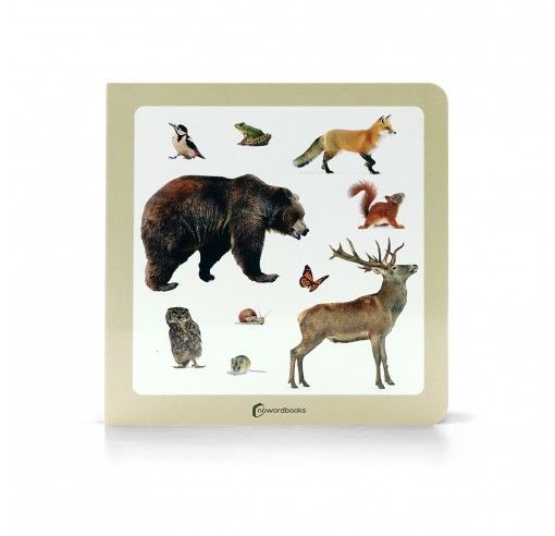 NWB - Animales del Bosque 2 - Imagen 2