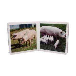 NWB - Animales en familia