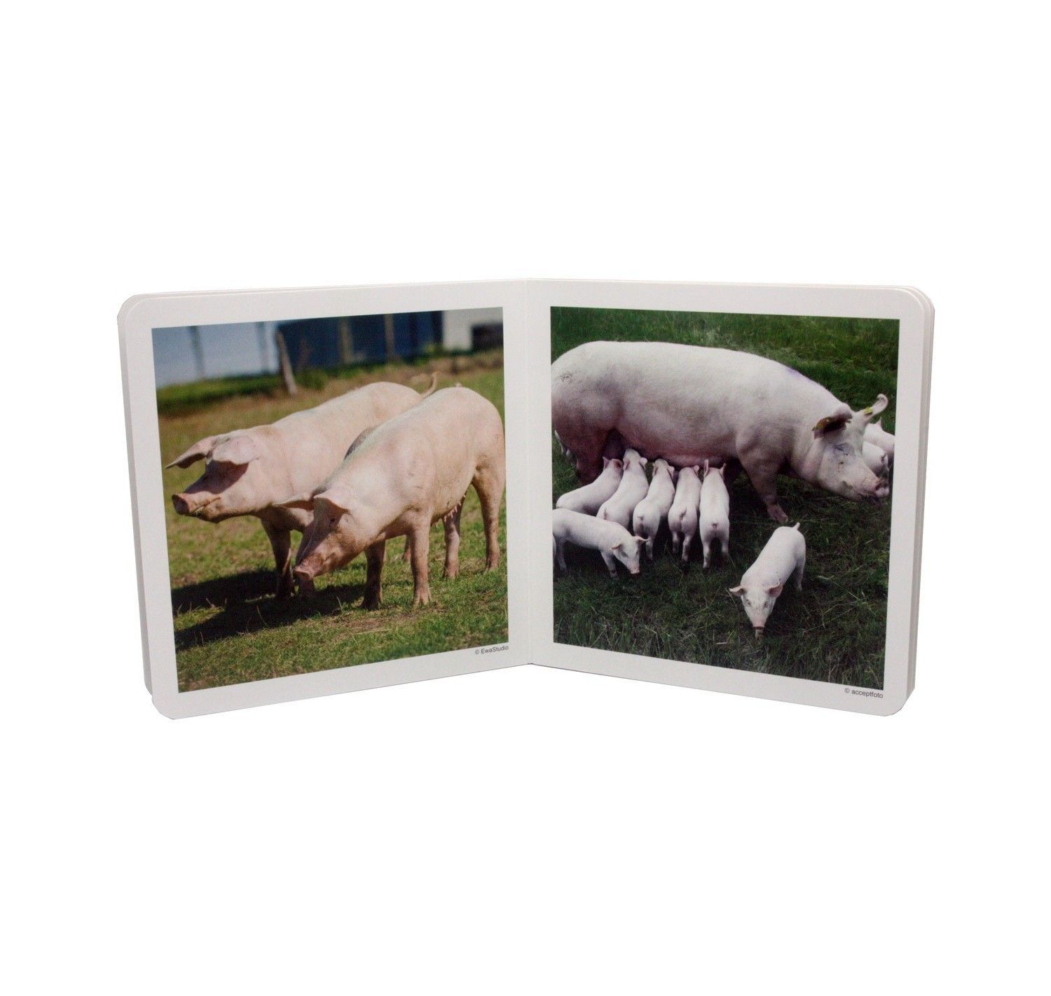 NWB - Animales en familia