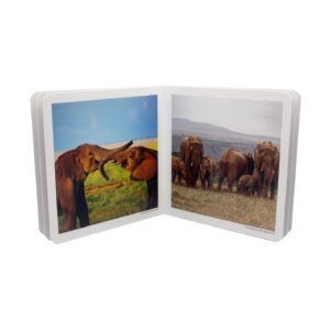 NWB - Animales en Familia