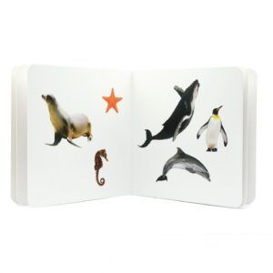 NWB - Animales Marinos 2