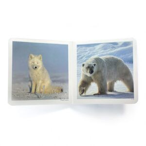 NWB - Animales Polares