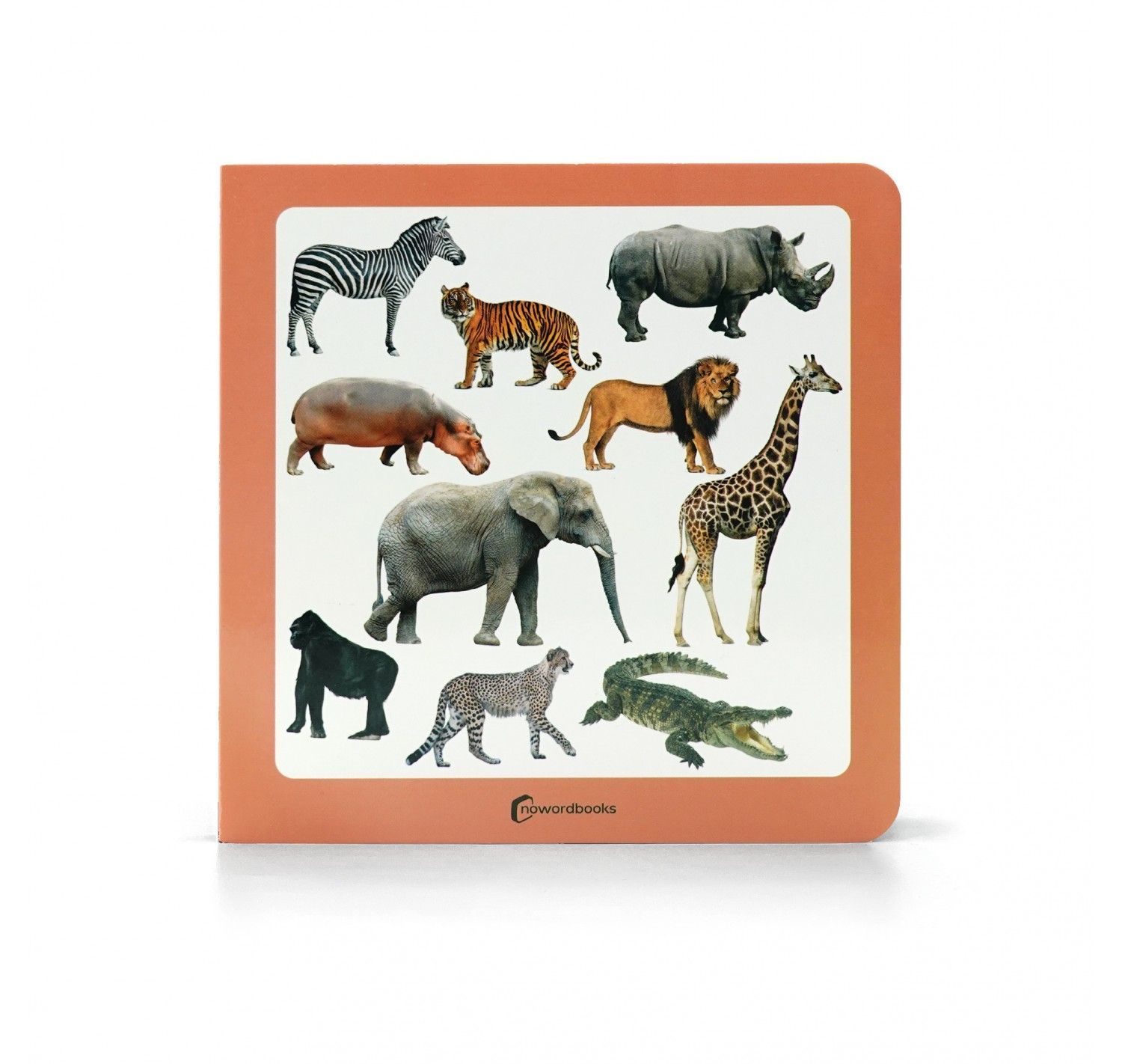 NWB - Animales Salvajes 3 - Imagen 2