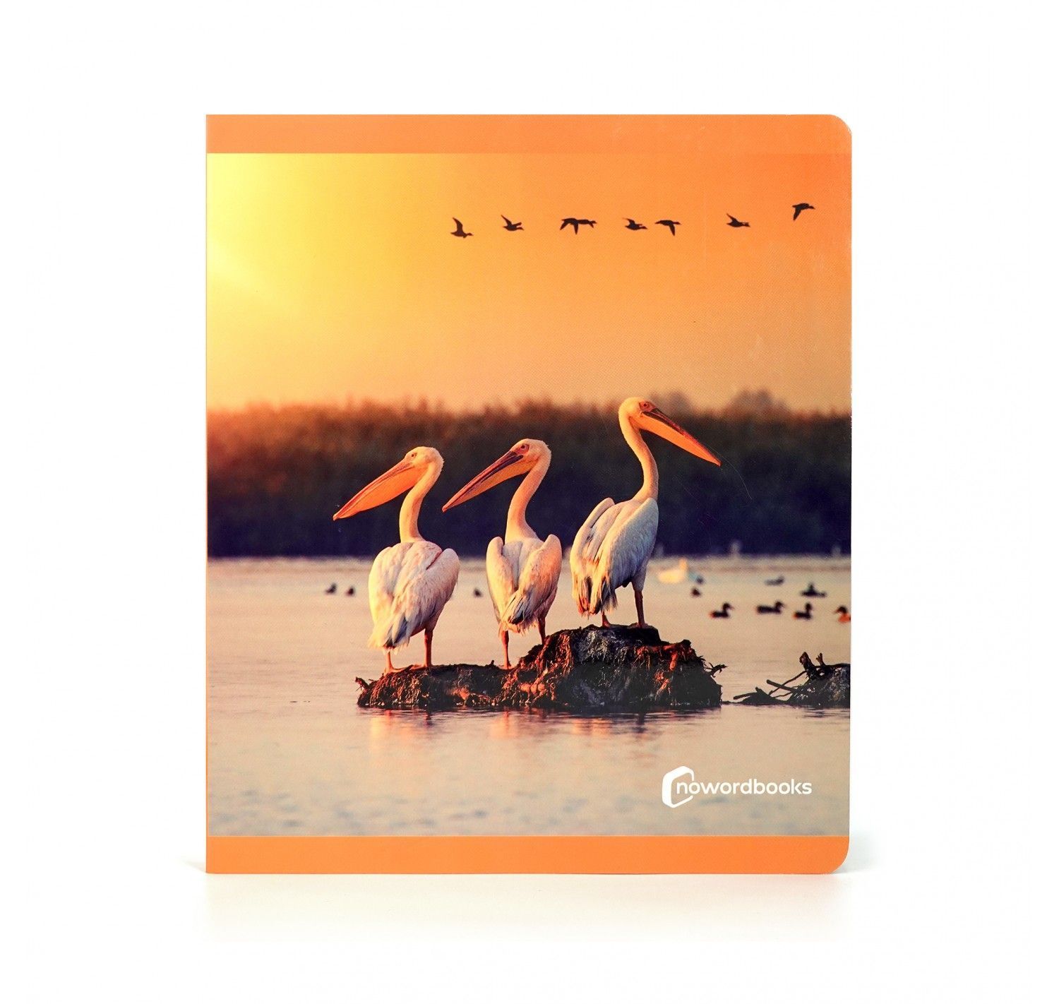 NWB - Aves - Imagen 3