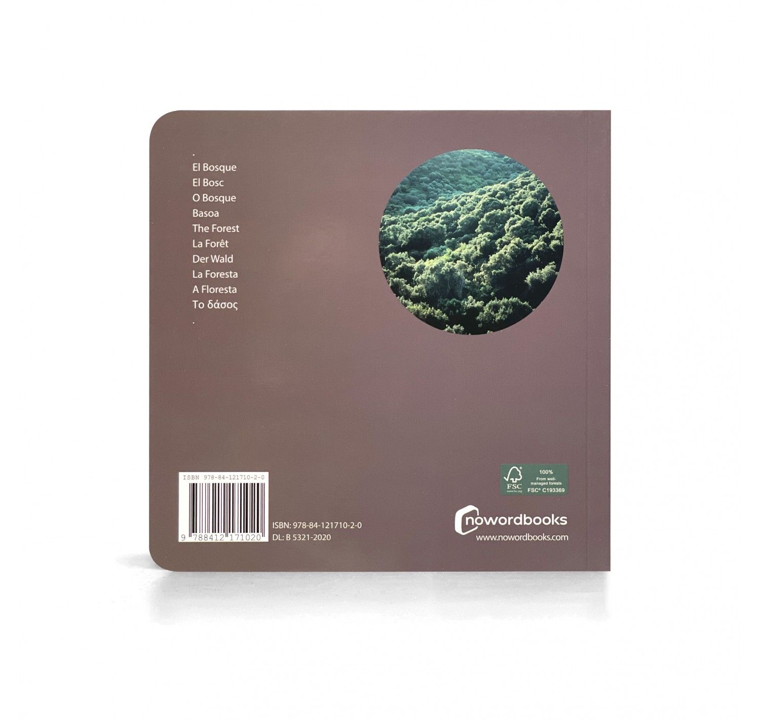 NWB - El Bosque - Imagen 3