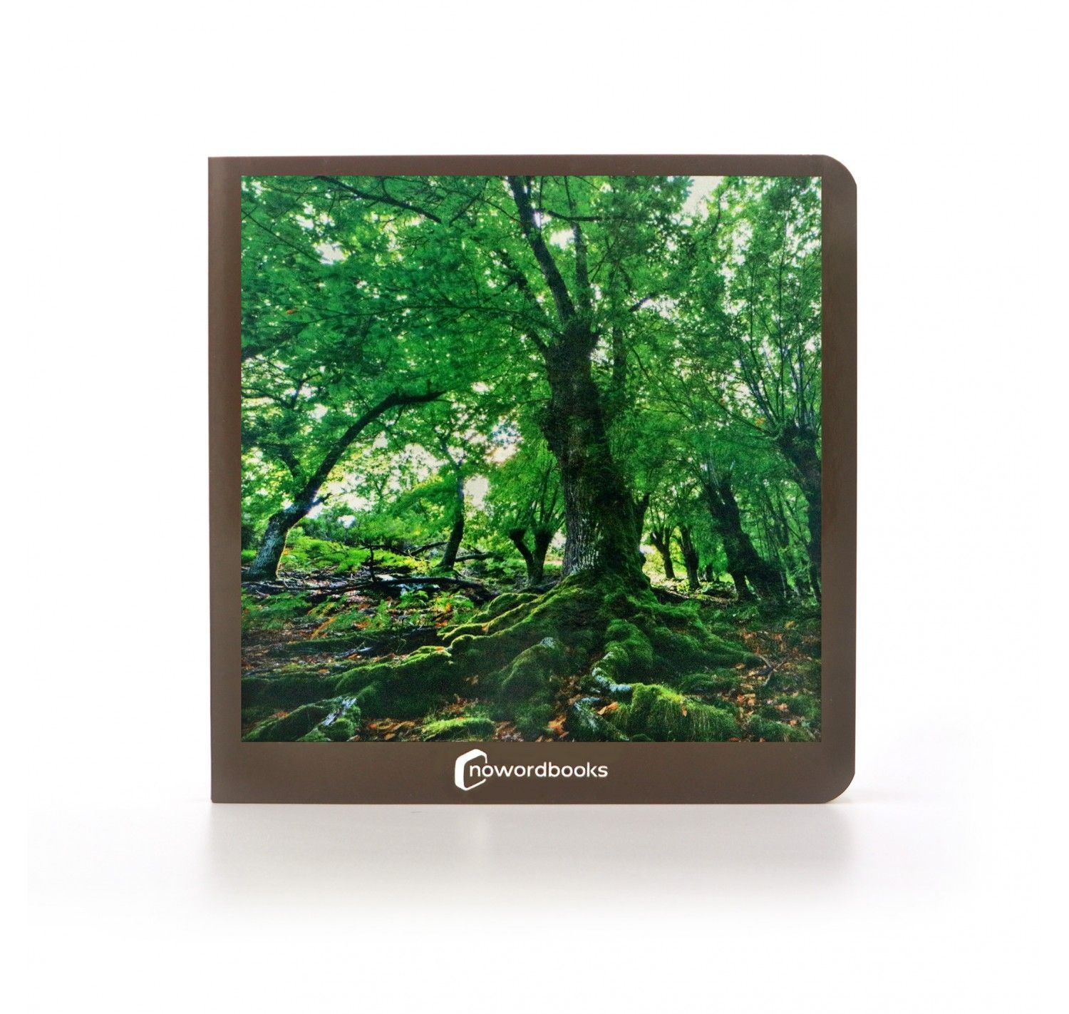 NWB - El Bosque - Imagen 2
