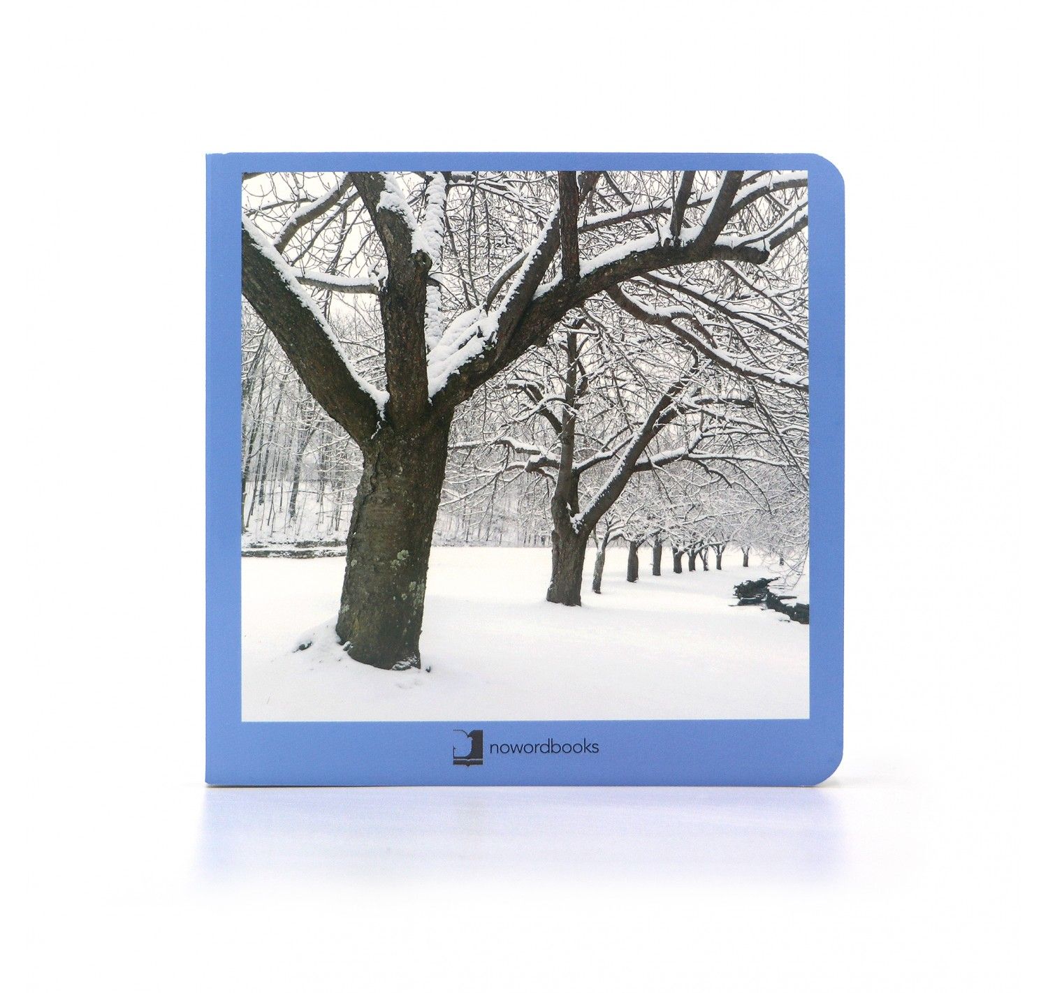 NWB - Invierno - Imagen 2