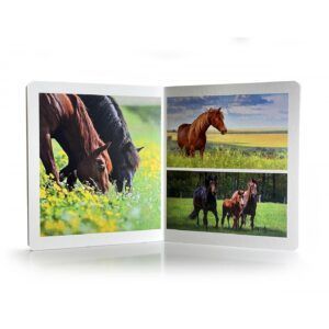 NWB - Animales de Granja
