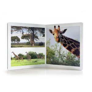 NWB - Animales de la Sabana