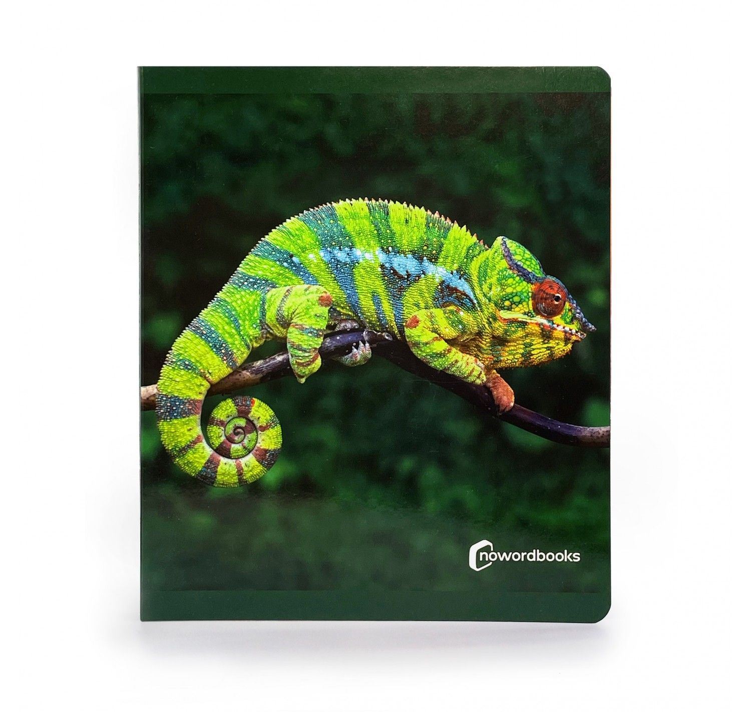 NWB - Animales de la Selva - Imagen 2