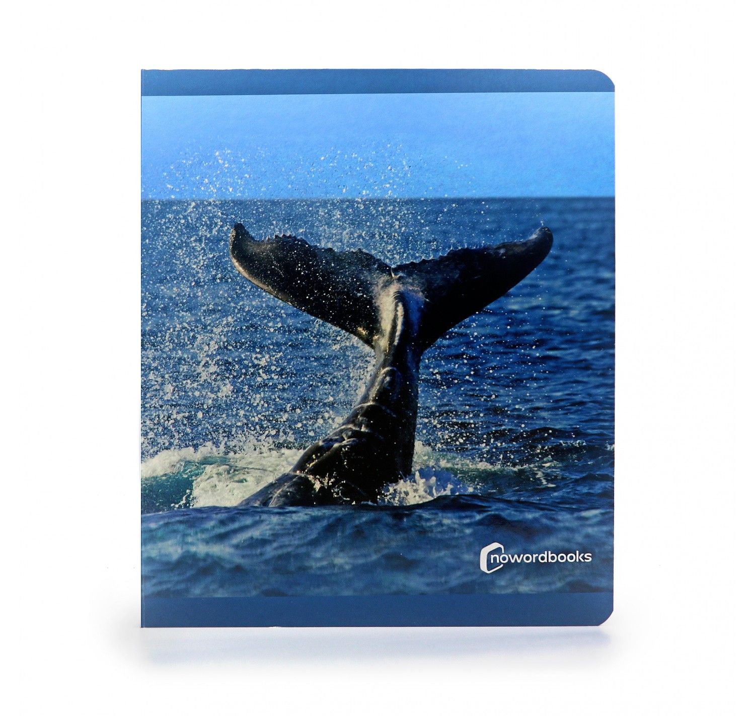 NWB - Animales del Mar - Imagen 3