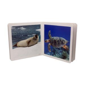 NWB - Animales Marinos