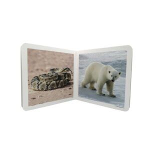 NWB - Animales Salvajes 2