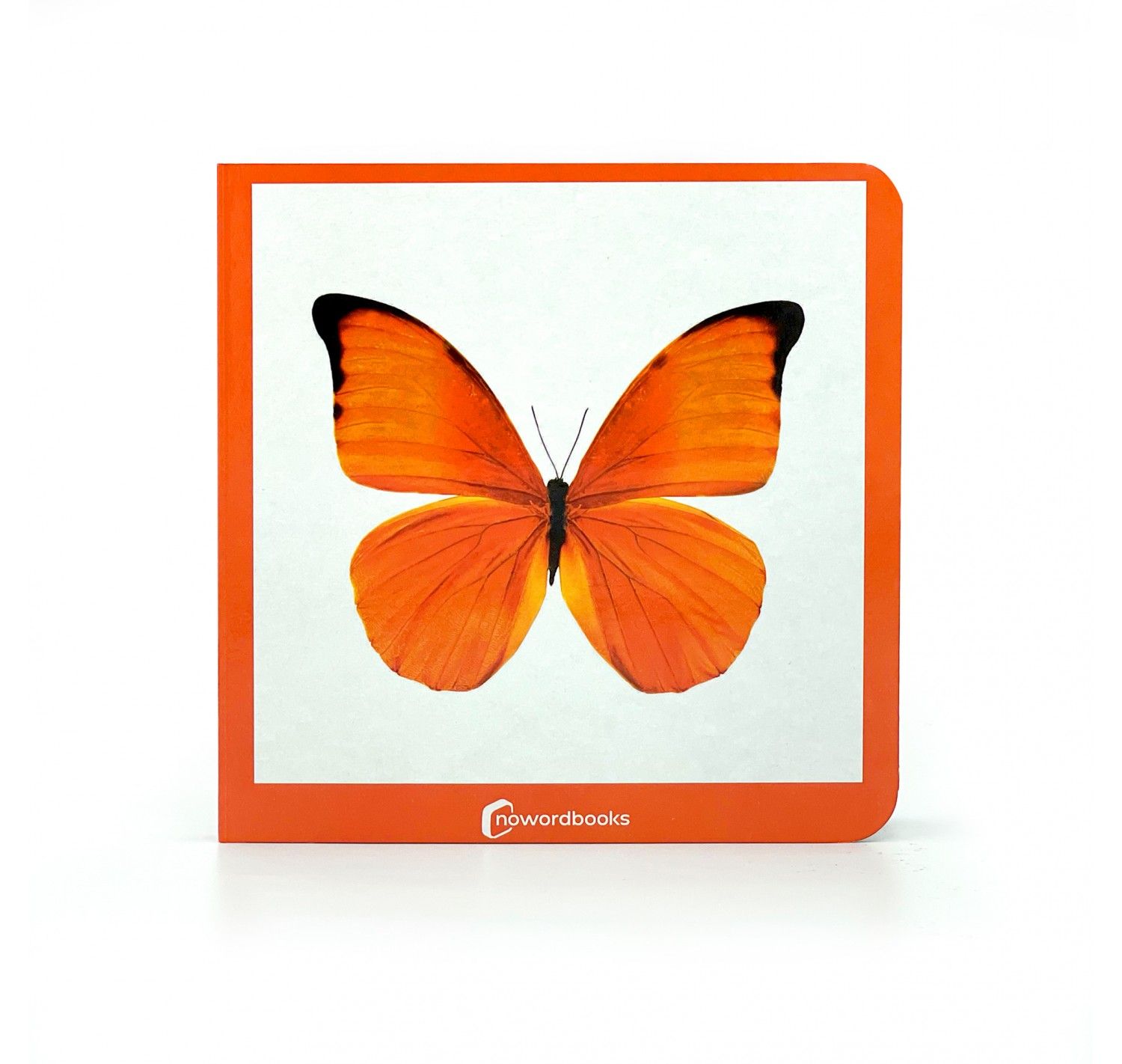 NWB - Naranja - Imagen 2