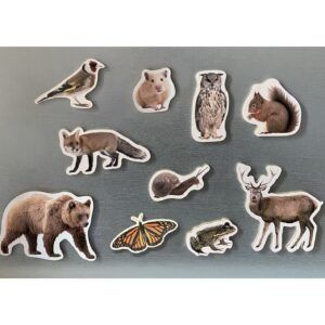 NWB - Magnets - Animales del Bosque