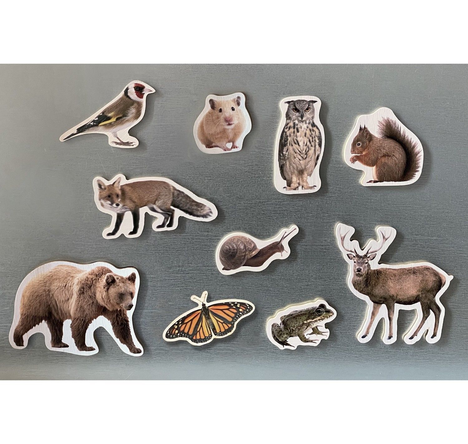 NWB - Magnets - Animales del Bosque