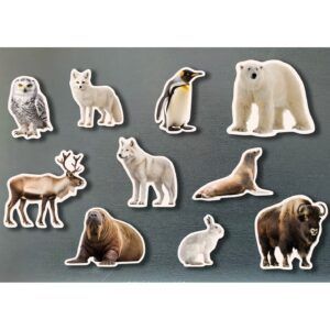 NWB - Magnets - Animales Poleras