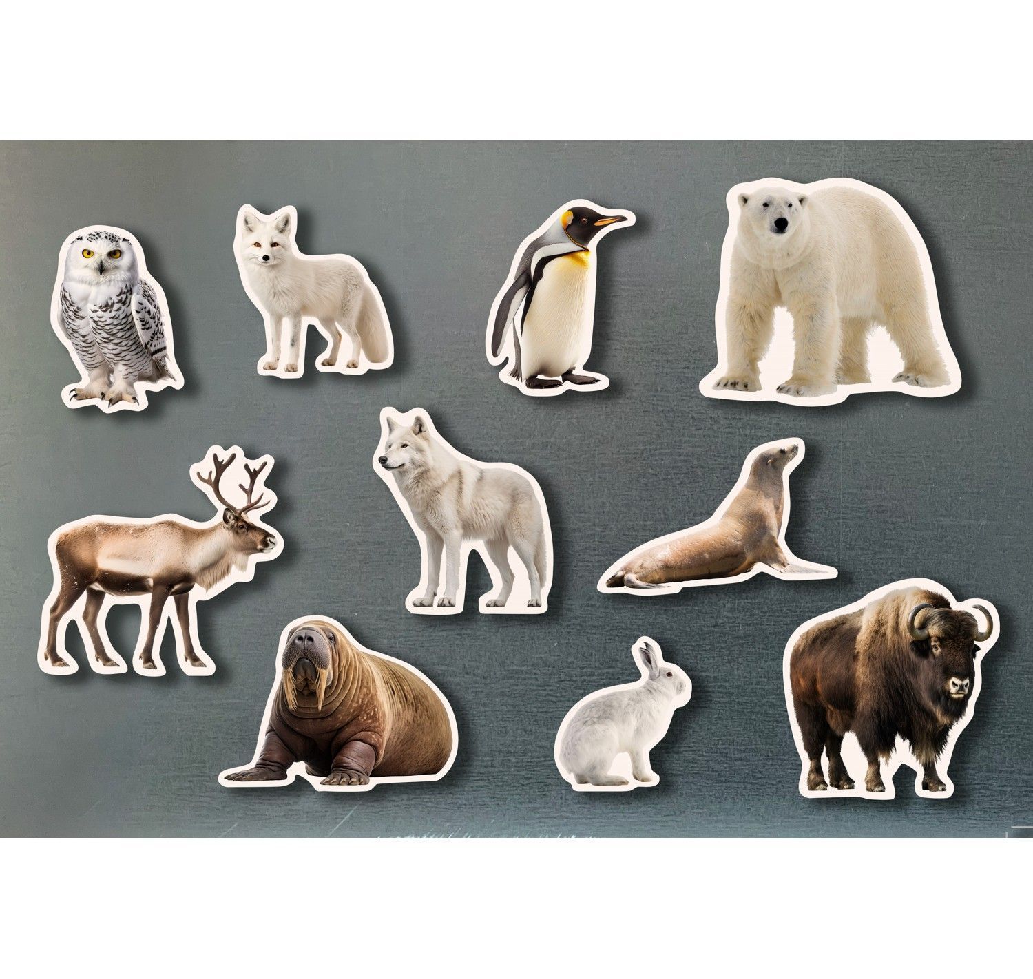 NWB - Magnets - Animales Poleras
