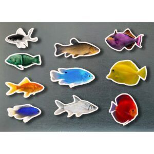 NWB - Magnets - Peces de colores