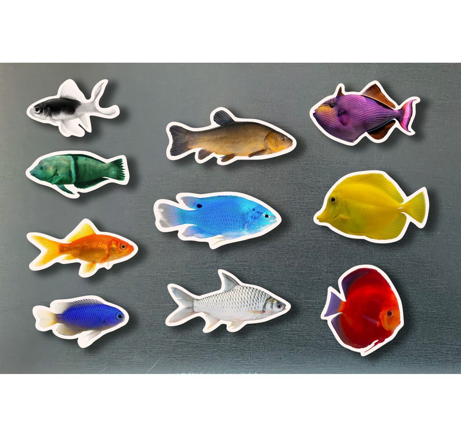 NWB - Magnets - Peces de colores