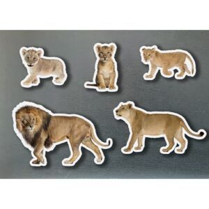 NWB - Magnetic Families - Leones