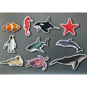 NWB - Magnets - Animales marinos