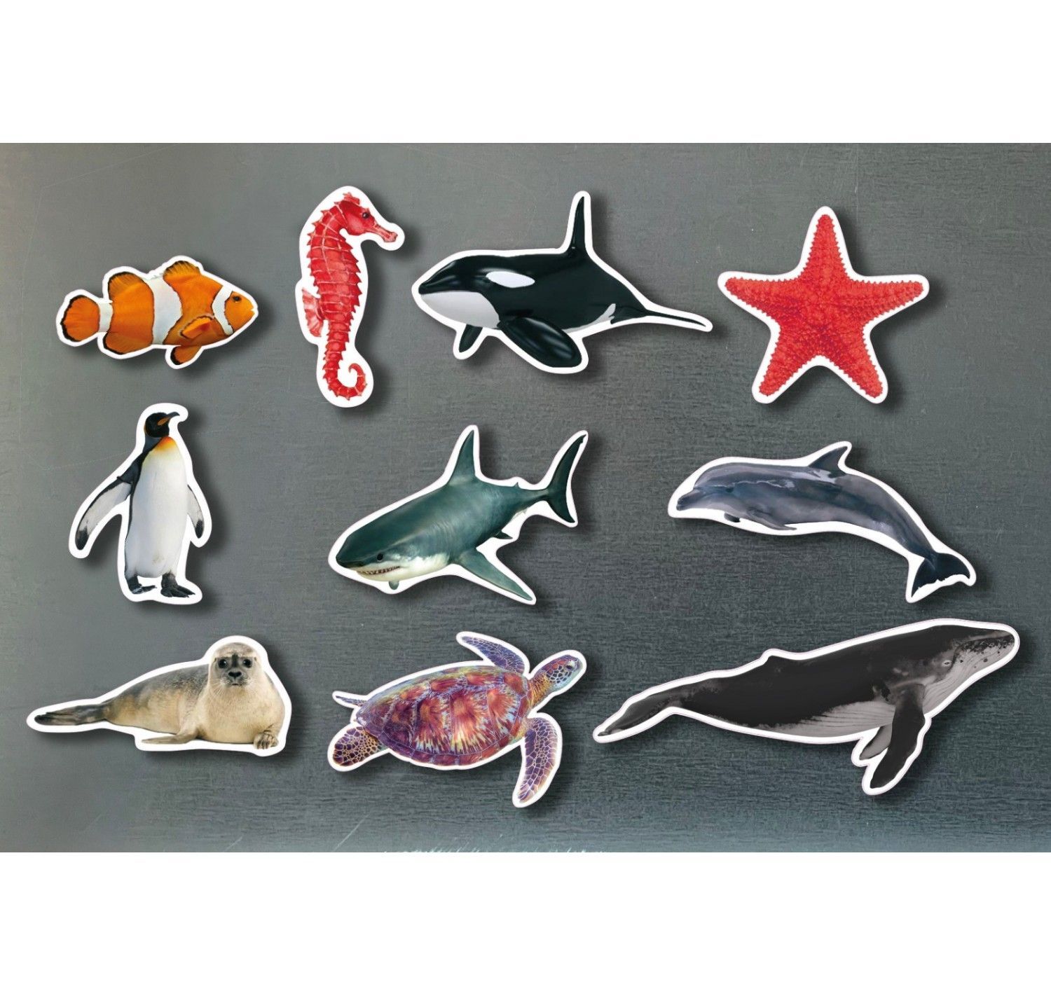 NWB - Magnets - Animales marinos