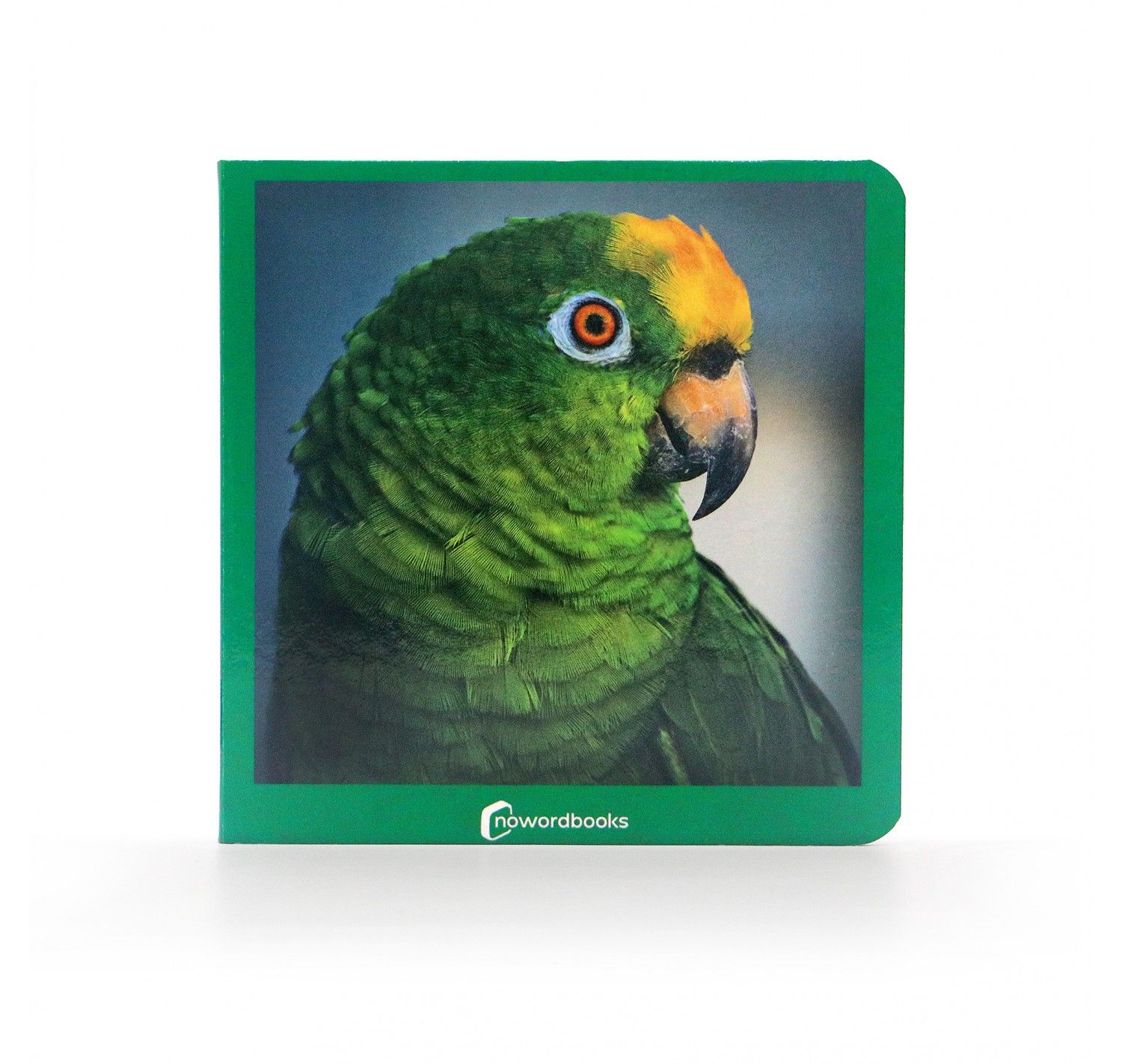 NWB - Verde - Imagen 2